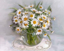 Без бренда «2KMA-0021» в Сургуте