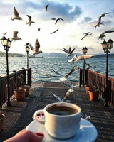 Без бренда «2KMB-1952» в Сургуте