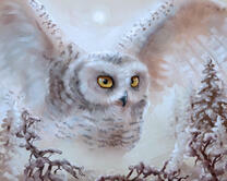 Без бренда «2KMB-3848» в Сургуте