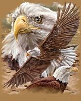 Без бренда «2KMB-4315» в Сургуте