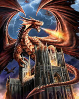 Без бренда «Дракон огня и молний» в Сургуте