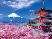 Без бренда «2KSB-7277» в Сургуте