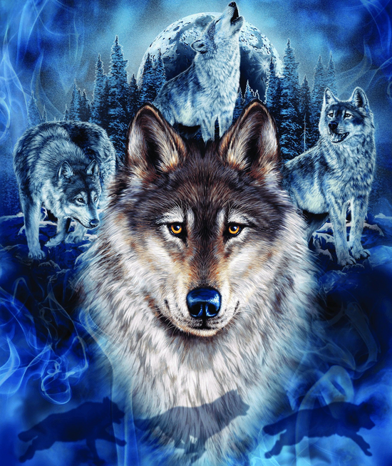 Алмазная мозаика 21x25 2KXSB-0687