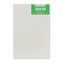 Без бренда «Коробка 80 шт.: Холст Две картинки на подрамнике 20X30» в Сургуте