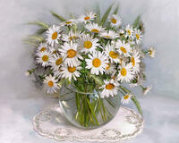 Без бренда «BOX20-2KMA-0021» в Сургуте