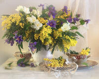 Без бренда «Натюрморт из мимоз и колокольчиков (20шт)» в Сургуте