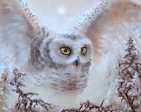 Без бренда «Полярная сова над лесом (20шт)» в Сургуте