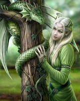 Без бренда «Коробка 20 шт: Дракон и эльф» в Сургуте