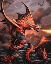 Без бренда «BOX20-2KMB-4923» в Сургуте