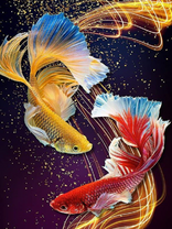 Без бренда «Желтая и красная рыбки (20шт)» в Сургуте