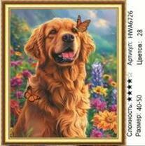 Без бренда «HWA6726» в Сургуте