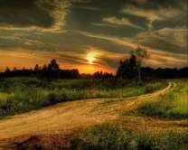 Без бренда «Проселочная дорога на закате» в Сургуте