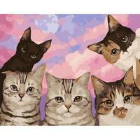 Без бренда «Такие разные котики» в Сургуте в интернет-магазине  Без бренда «Такие разные котики» в Сургуте