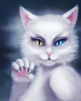 Белая кошечкака с разноцветными глазами