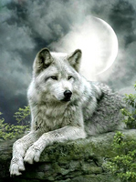 Без бренда «Коробка 25 шт. картин по номерам BOX25-GX21058» в Сургуте