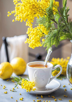 Коробка 25 шт. картин по номерам BOX25-GX37165