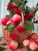 Без бренда «Коробка 25 шт. картин по номерам BOX25-GX5174» в Сургуте