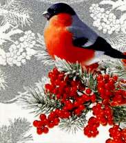 Снегирь на ветке рябины