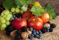 Без бренда «Фрукты, ягоды и орехи» в Сургуте в интернет-магазине  Без бренда «Фрукты, ягоды и орехи» в Сургуте