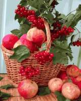 Без бренда «Плетёная корзина с калиной и яблоками» в Сургуте