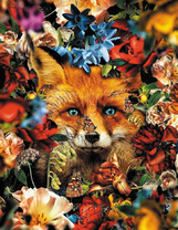 Лиса среди множества цветов