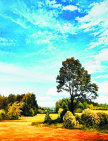 Без бренда «Осенний пейзаж с голубым небом» в Сургуте в интернет-магазине  Без бренда «Осенний пейзаж с голубым небом» в Сургуте