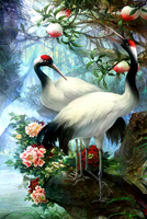 Без бренда «Коробка 25 шт. картин по номерам BOX25-GX29399» в Сургуте в интернет-магазине  Без бренда «Коробка 25 шт. картин по номерам BOX25-GX29399» в Сургуте