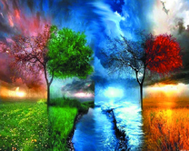 Два дерева и четыре времени года