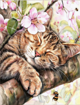 Без бренда «Волосатый котик спит на ветви яблони» в Сургуте