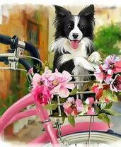 Пес в корзинке велосипеда с цветами